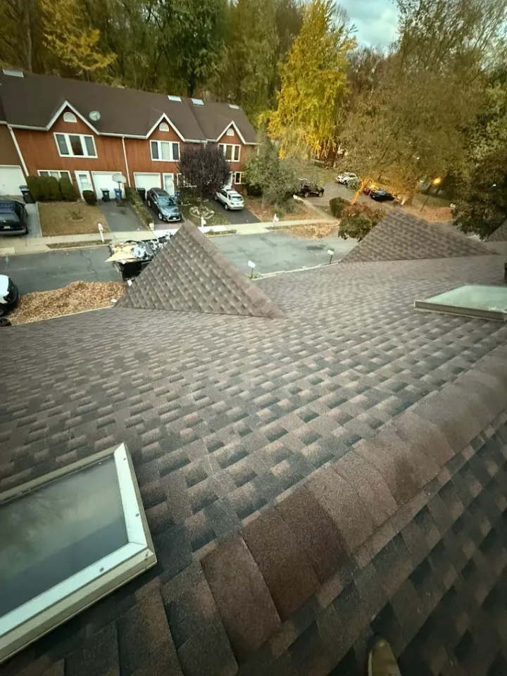 Roof Maintenance: 5 Essential Steps for Protecting Your Home and Roof