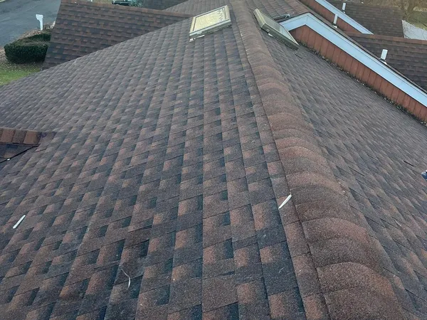 Brown architectural shingle roof with matching ridge caps and skylights along the far slope