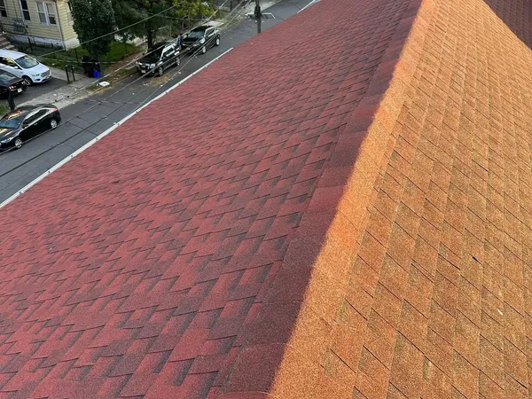 New red architectural shingle roof with a straight ridge line, above a tree-lined residential street