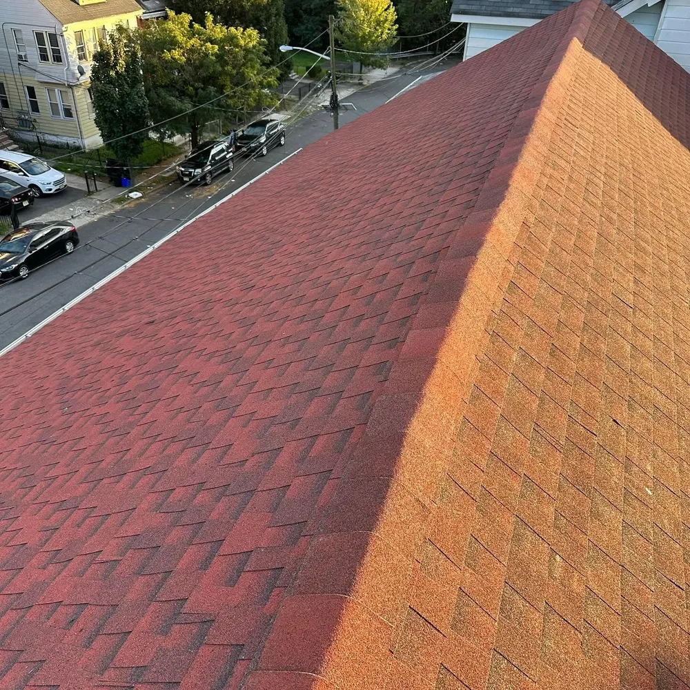 New red architectural shingle roof with a straight ridge line, above a tree-lined residential street