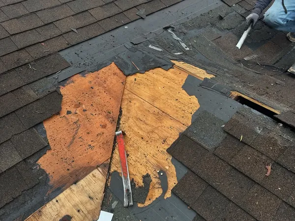 Brown shingles pulled back to show rotted, delaminated roof decking during a repair
