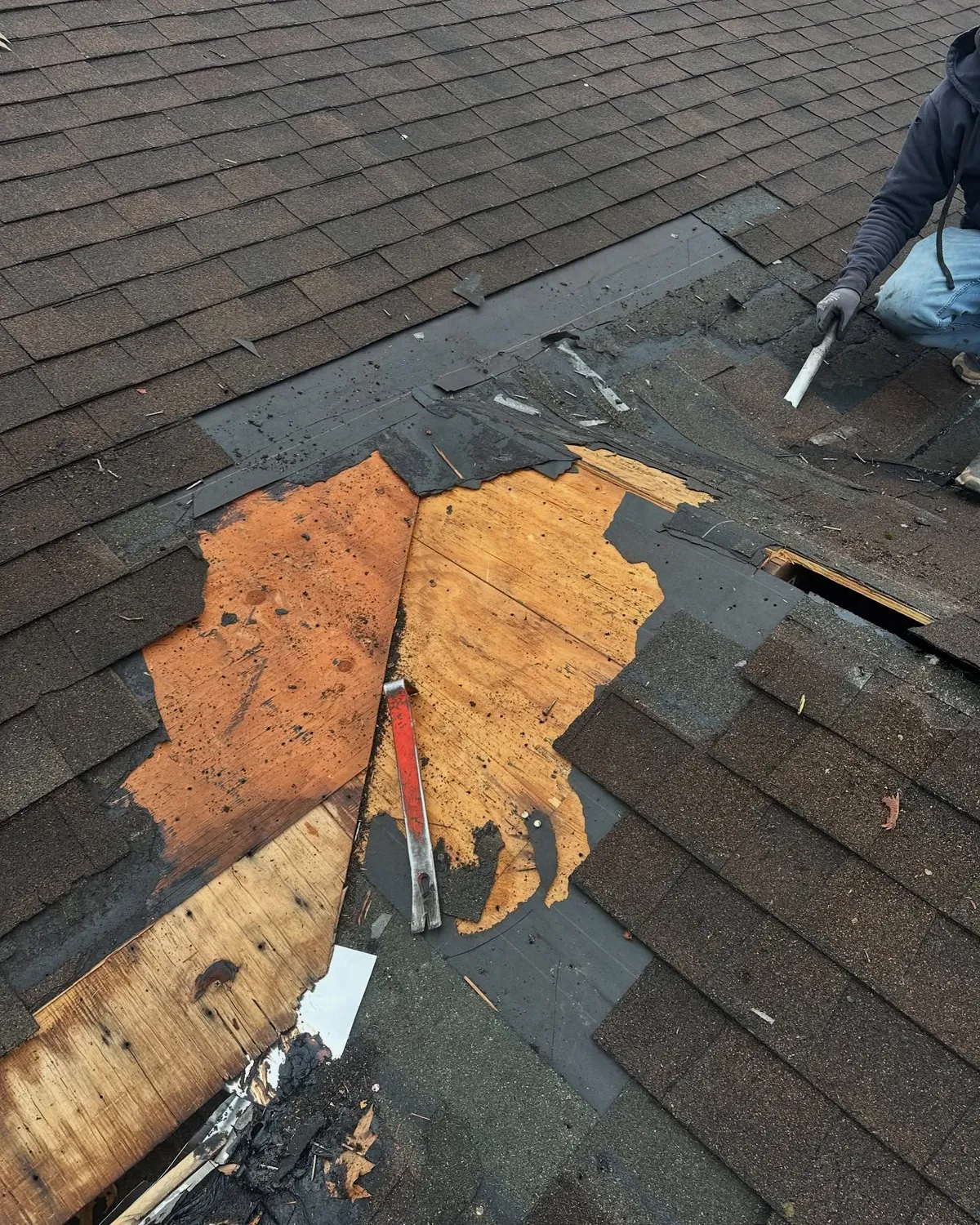 Brown shingles pulled back to show rotted, delaminated roof decking during a repair